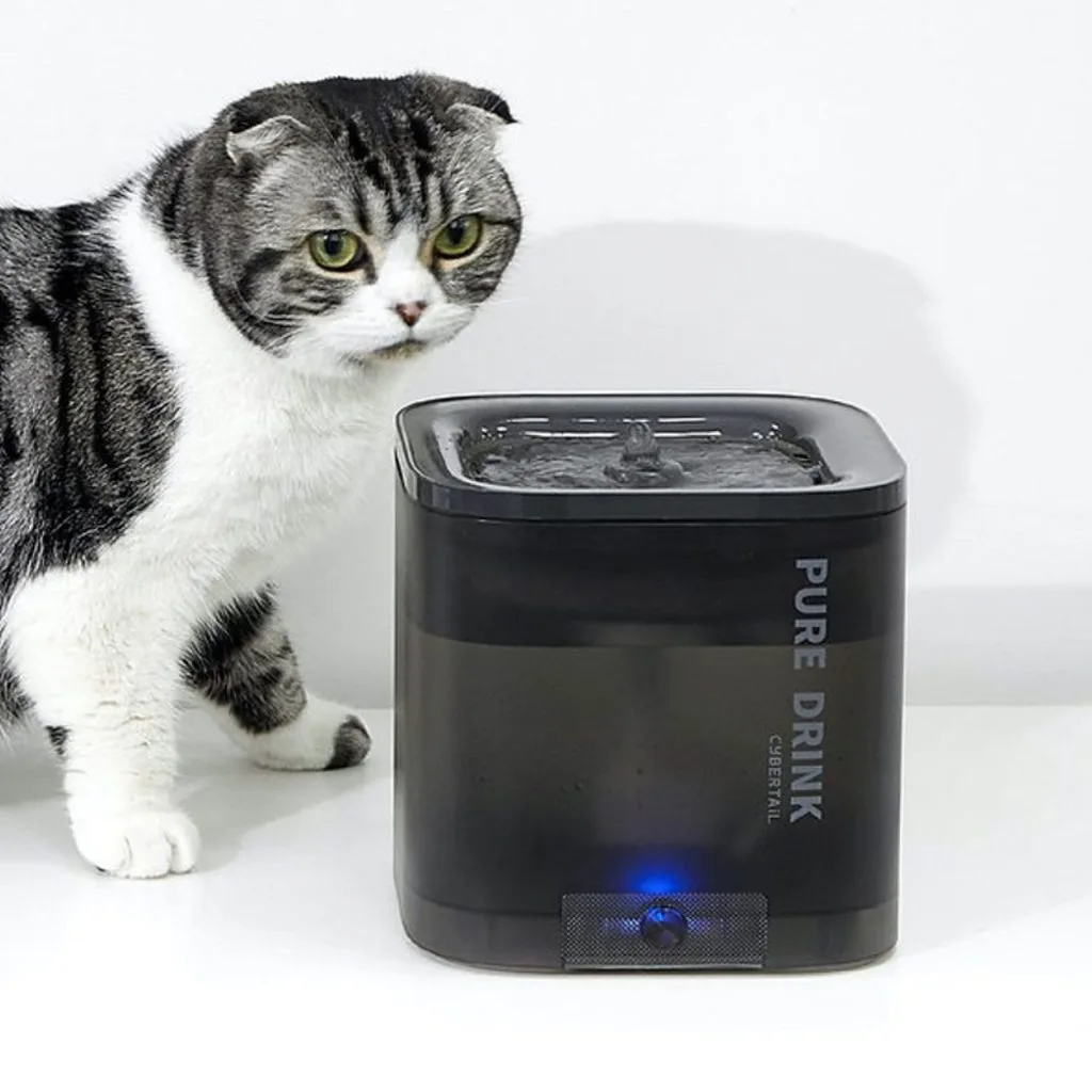 Petkit Eversweet Solo SE Dark